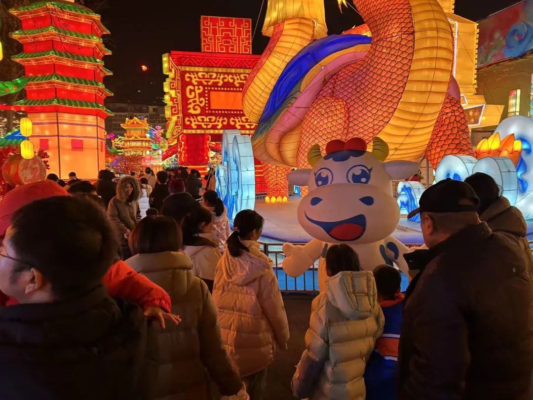 央視直播鄭州龍年燈會(huì)迎新春，花花牛品牌上大分