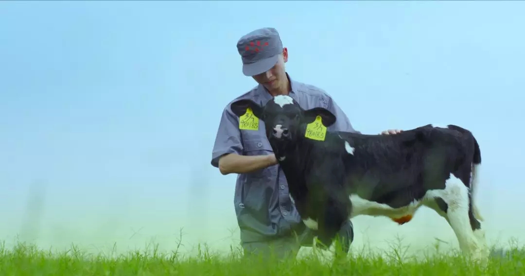 河南省人大常委會(huì)黨組書(shū)記、副主任孔昌生蒞臨花花牛魯山瑞亞牧場(chǎng)參觀調(diào)研
