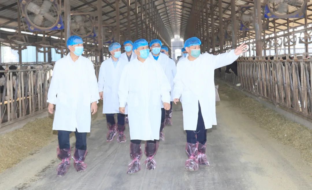 快訊丨河南省人民政府副省長武國定蒞臨花花牛乳業(yè)集團瑞亞牧業(yè)調(diào)研奶源基地建設(shè)情況 快訊丨河南省人民政府副省長武國定蒞臨花花牛乳業(yè)集團瑞亞牧業(yè)調(diào)研奶源基地建設(shè)情況