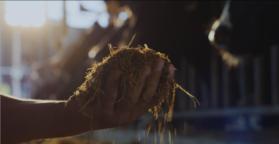 又雙叒叕獲獎啦！花花牛榮獲“乳品質(zhì)量安全管理 優(yōu)秀企業(yè)”