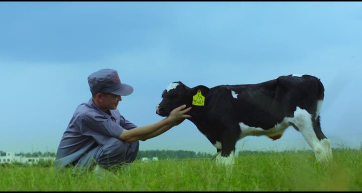 又雙叒叕獲獎啦！花花牛榮獲“乳品質(zhì)量安全管理 優(yōu)秀企業(yè)”