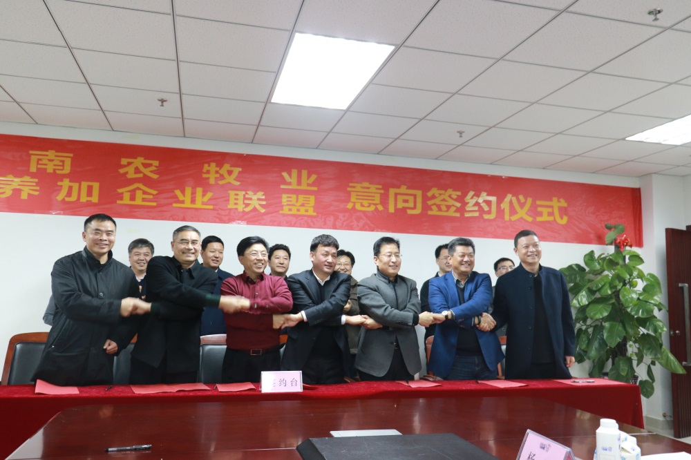 涉農(nóng)企業(yè)強(qiáng)強(qiáng)聯(lián)合，“抱團(tuán)取暖”共迎企業(yè)發(fā)展的春天