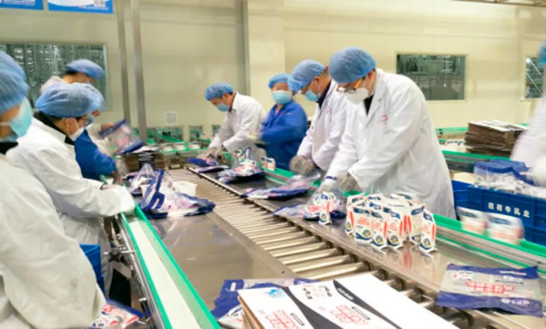 快訊丨河南省副省長武國定蒞臨花花牛乳業(yè)集團調研重點保障企業(yè)復工復產情況 快訊丨河南省副省長武國定蒞臨花花牛乳業(yè)集團調研重點保障企業(yè)復工復產情況