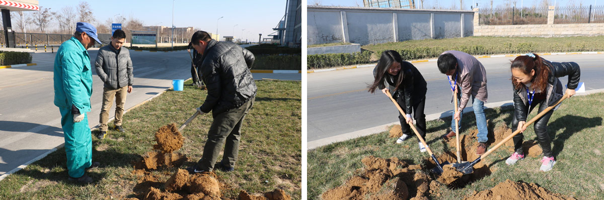 2016年植樹(shù)節(jié)活動(dòng) 2016年植樹(shù)節(jié)活動(dòng)