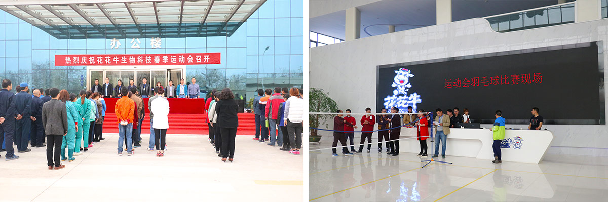 河南花花牛生物科技有限公司舉辦2016年春季運(yùn)動(dòng)會(huì) 河南花花牛生物科技有限公司舉辦2016年春季運(yùn)動(dòng)會(huì)
