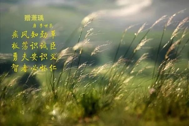 花花牛 | 疾風(fēng)來(lái)臨，你是不是勁草？