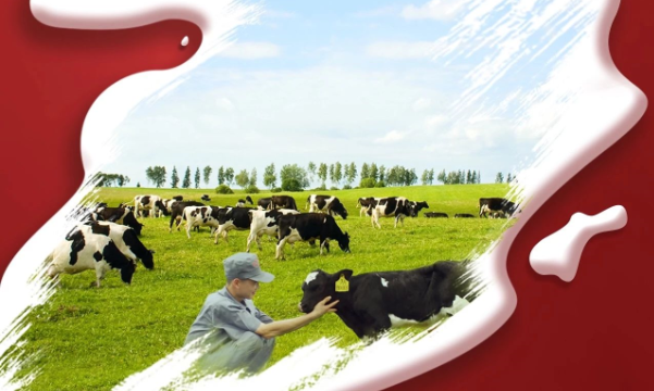 喜報(bào)！花花牛董事長關(guān)曉彥再獲”優(yōu) 秀企業(yè)家”稱號(hào)